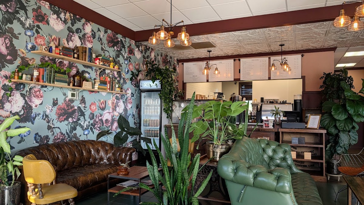 Coffee Apothecary - Photo 4