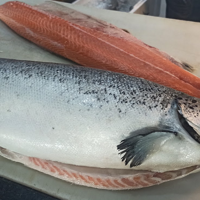 Atlantic Salmon