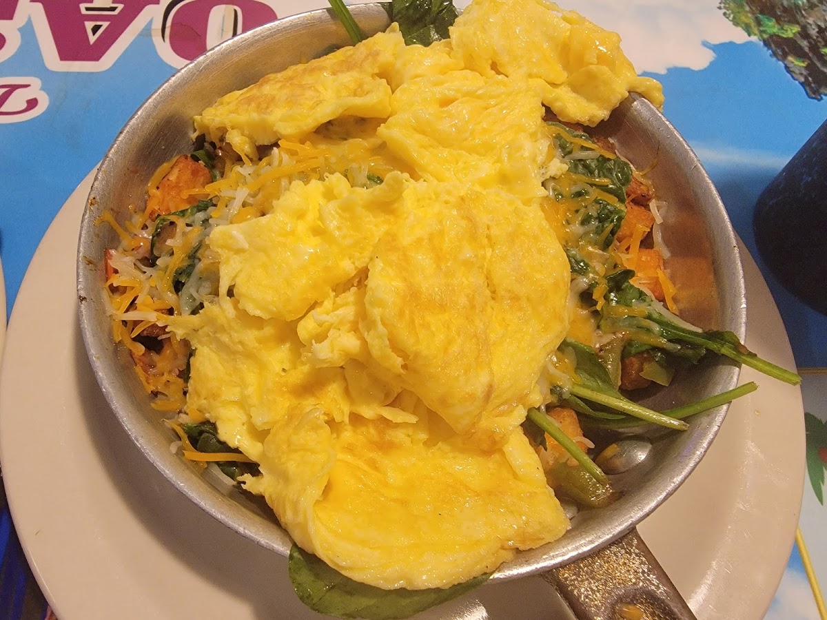 Oasis Restaurant - Photo 9