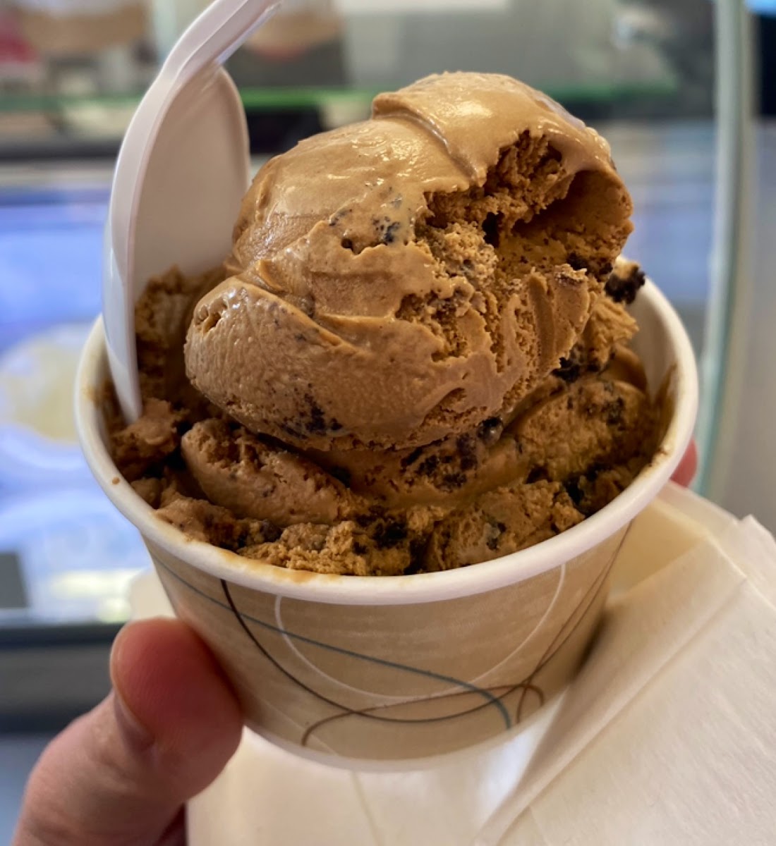 Diane's Dairy - Photo 9