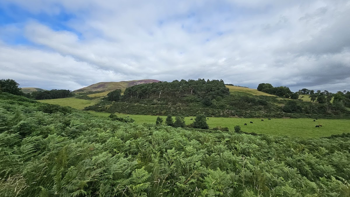 Pentland Hills Cafe Express - Photo 9