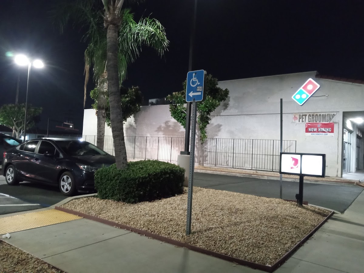 Domino's Pizza