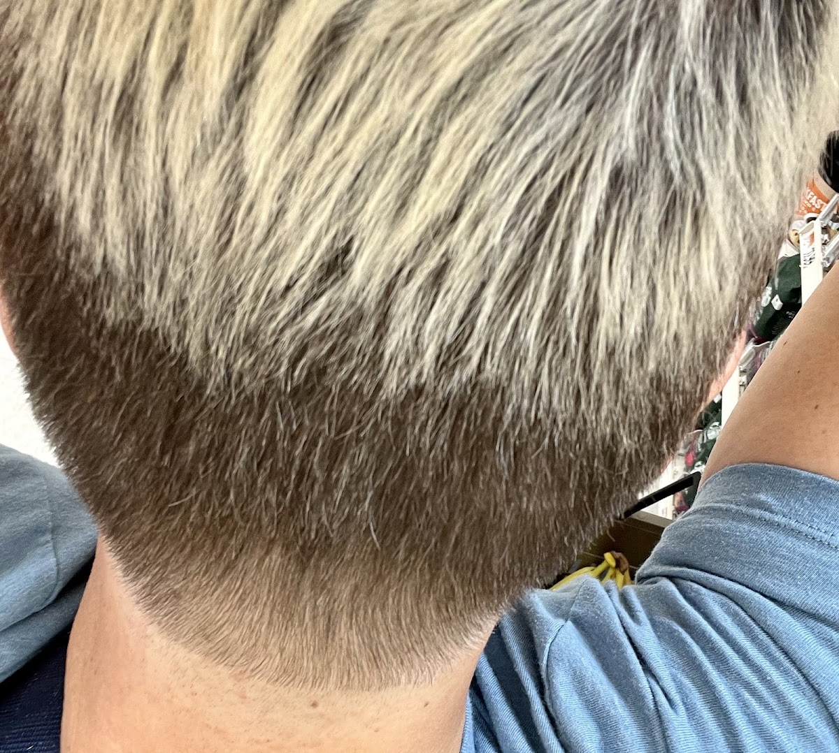 Ryan Park Barbershop - Photo 6