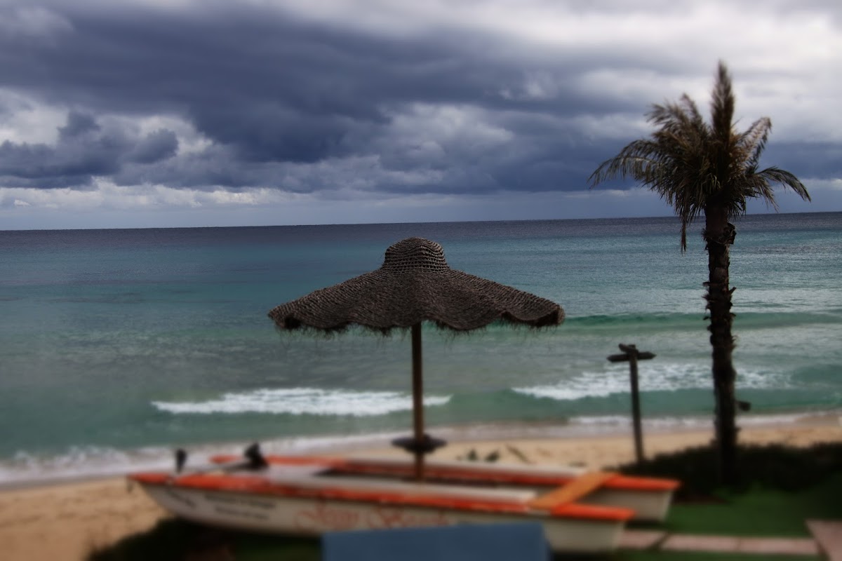 Jessy Beach - Photo 2