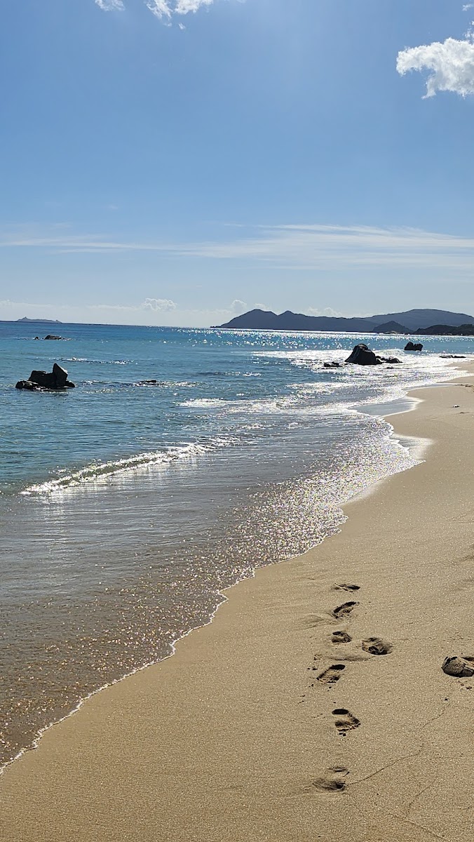 Jessy Beach - Photo 6