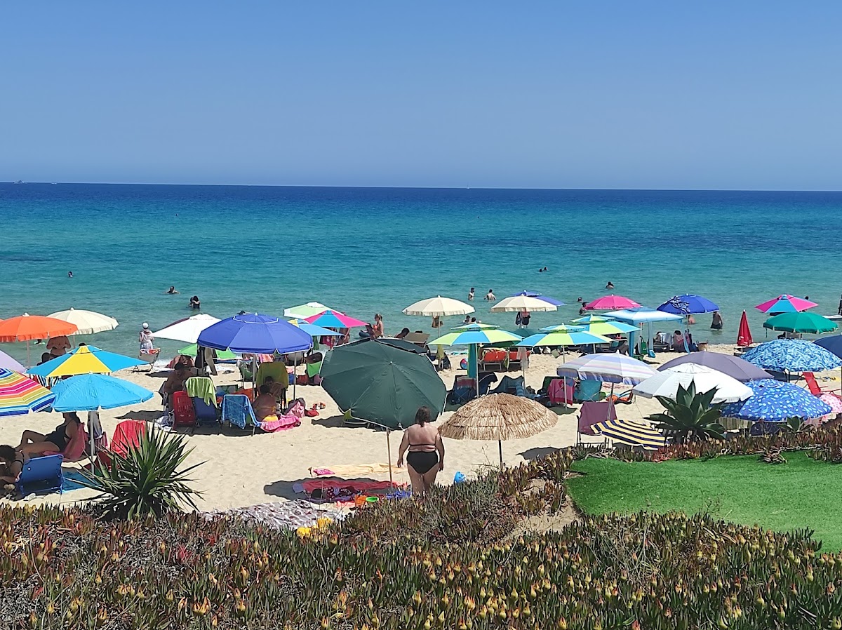 Jessy Beach - Photo 8