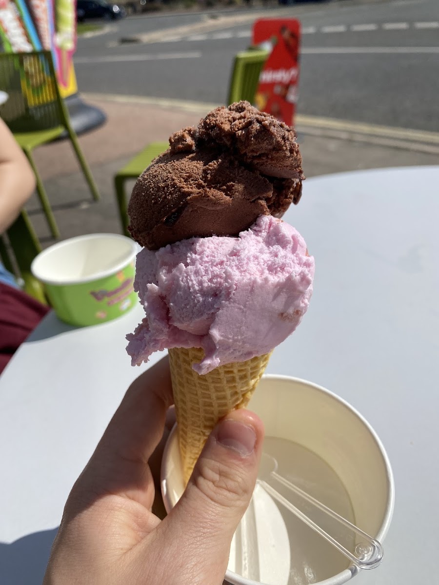 Vanilla - Photo 1