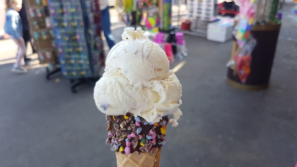 Vanilla - Photo 7