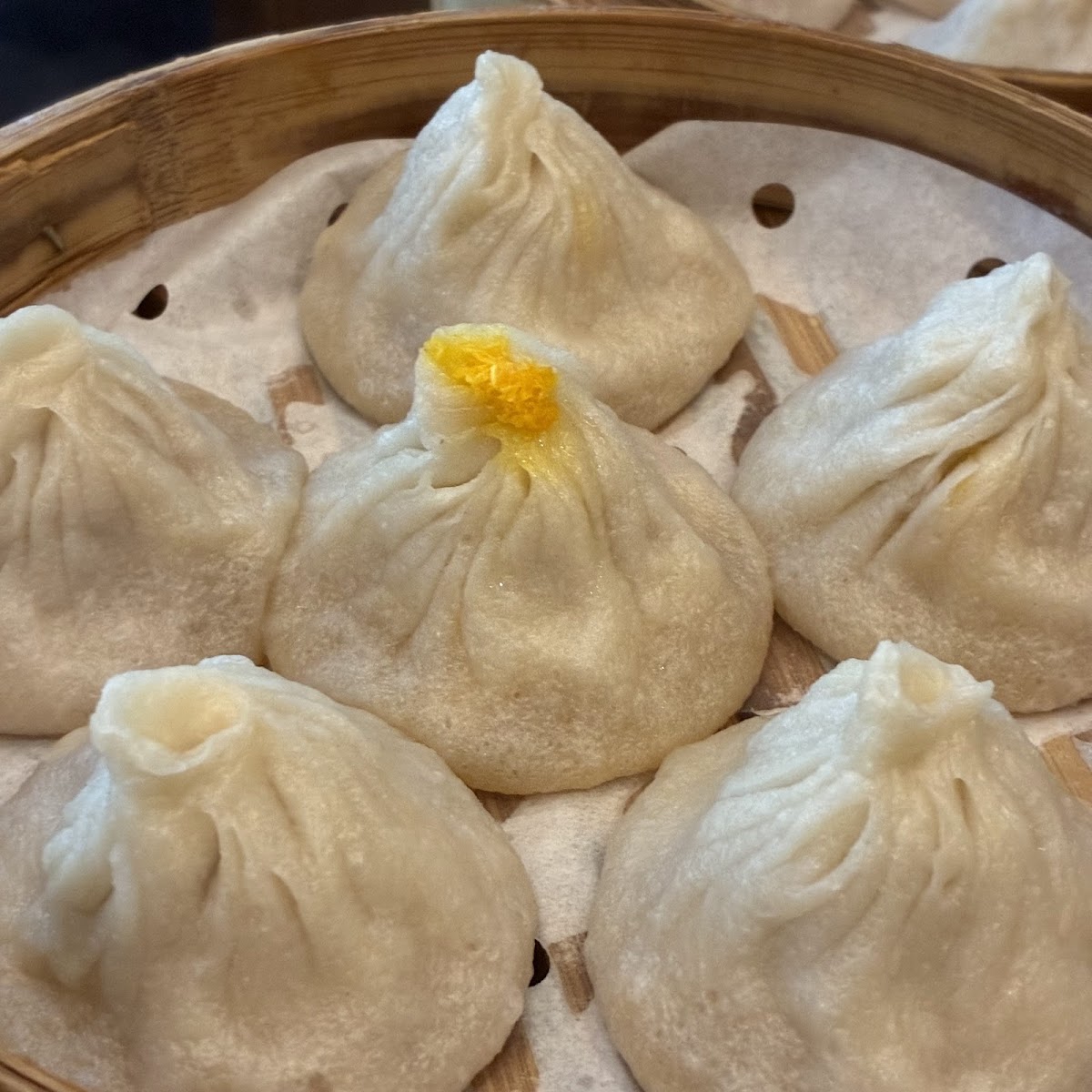 Nan Xiang Soup Dumplings - Flushing - Photo 3