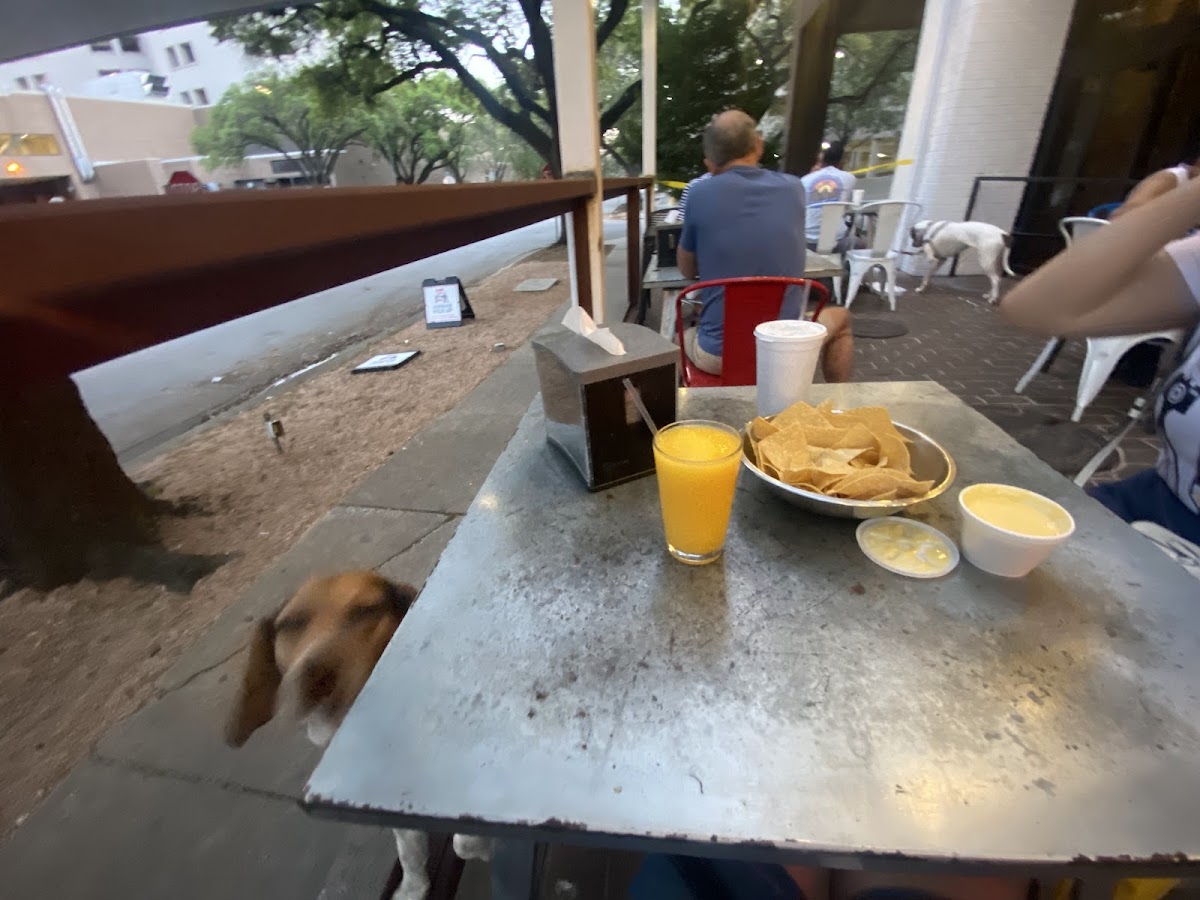 Bodegas Taco Shop - Photo 9
