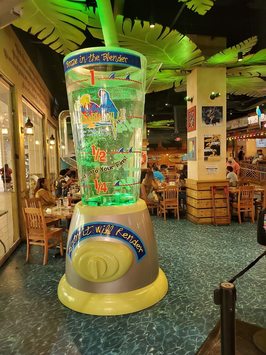 Margaritaville Restaurant - San Antonio - Photo 7