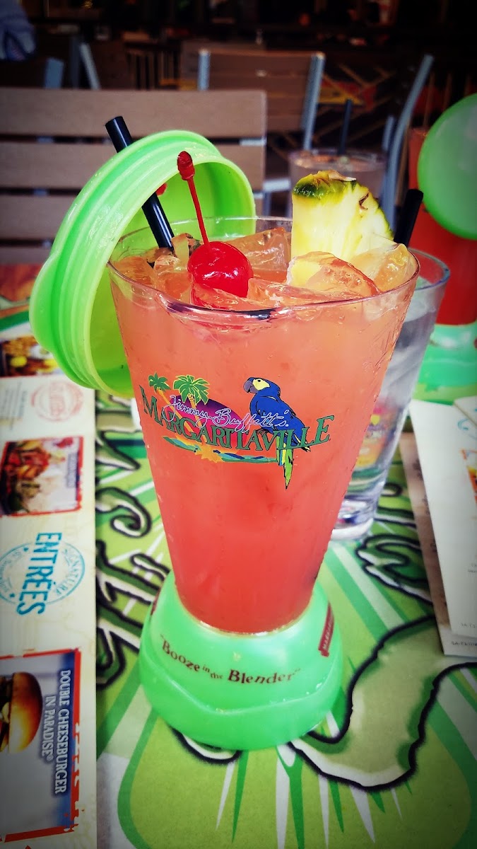 Margaritaville Restaurant - San Antonio - Photo 8