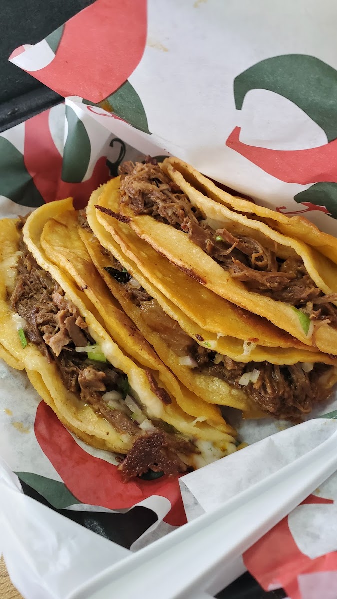 El Indio - Photo 6