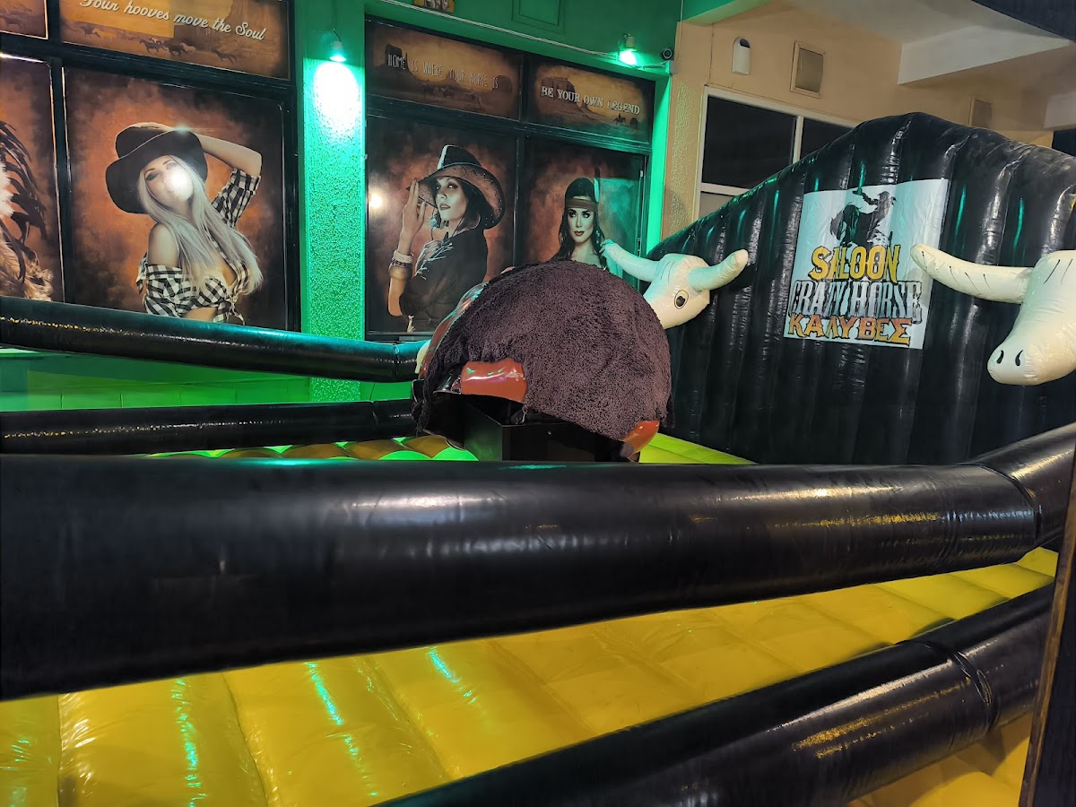 Saloon Crazy Horse - Photo 8
