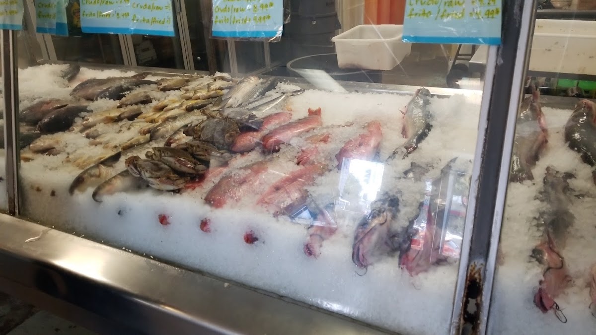 Central Fish Market