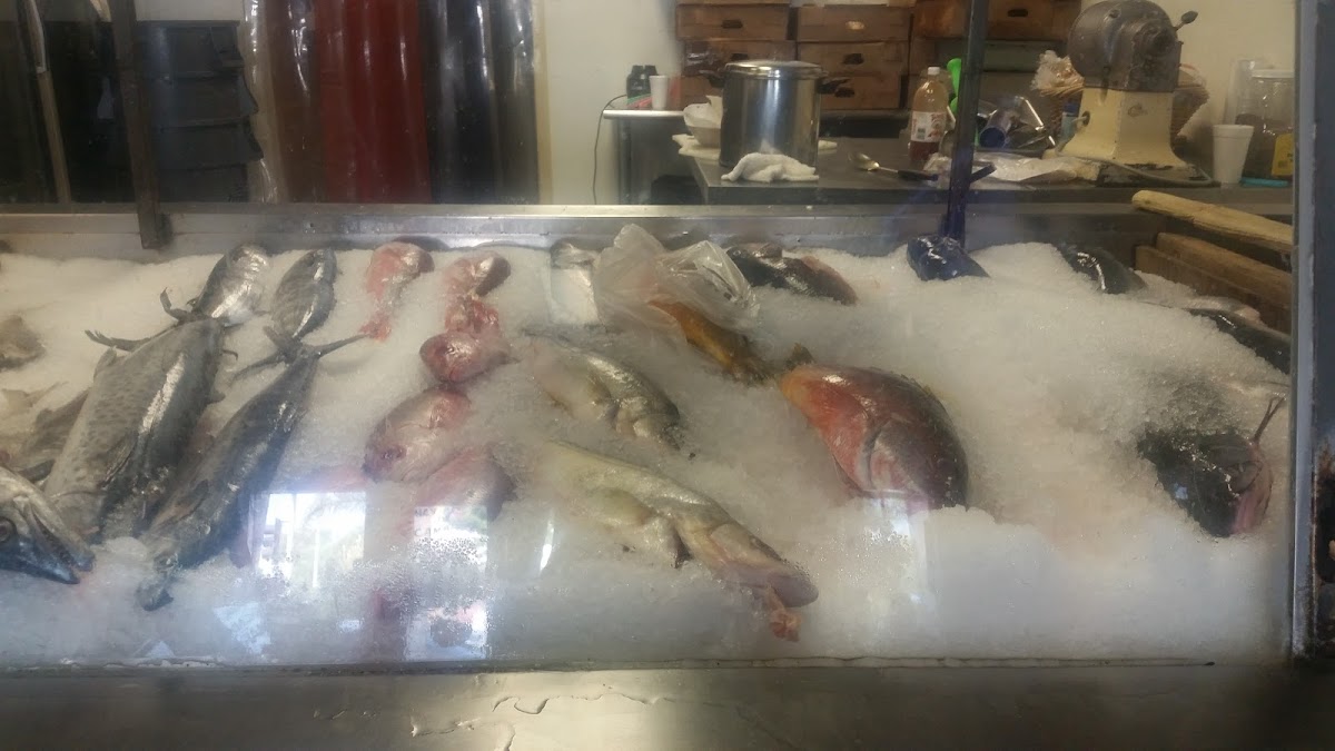 Central Fish Market - Photo 3