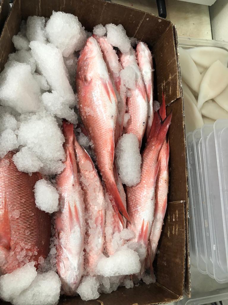 Central Fish Market - Photo 7