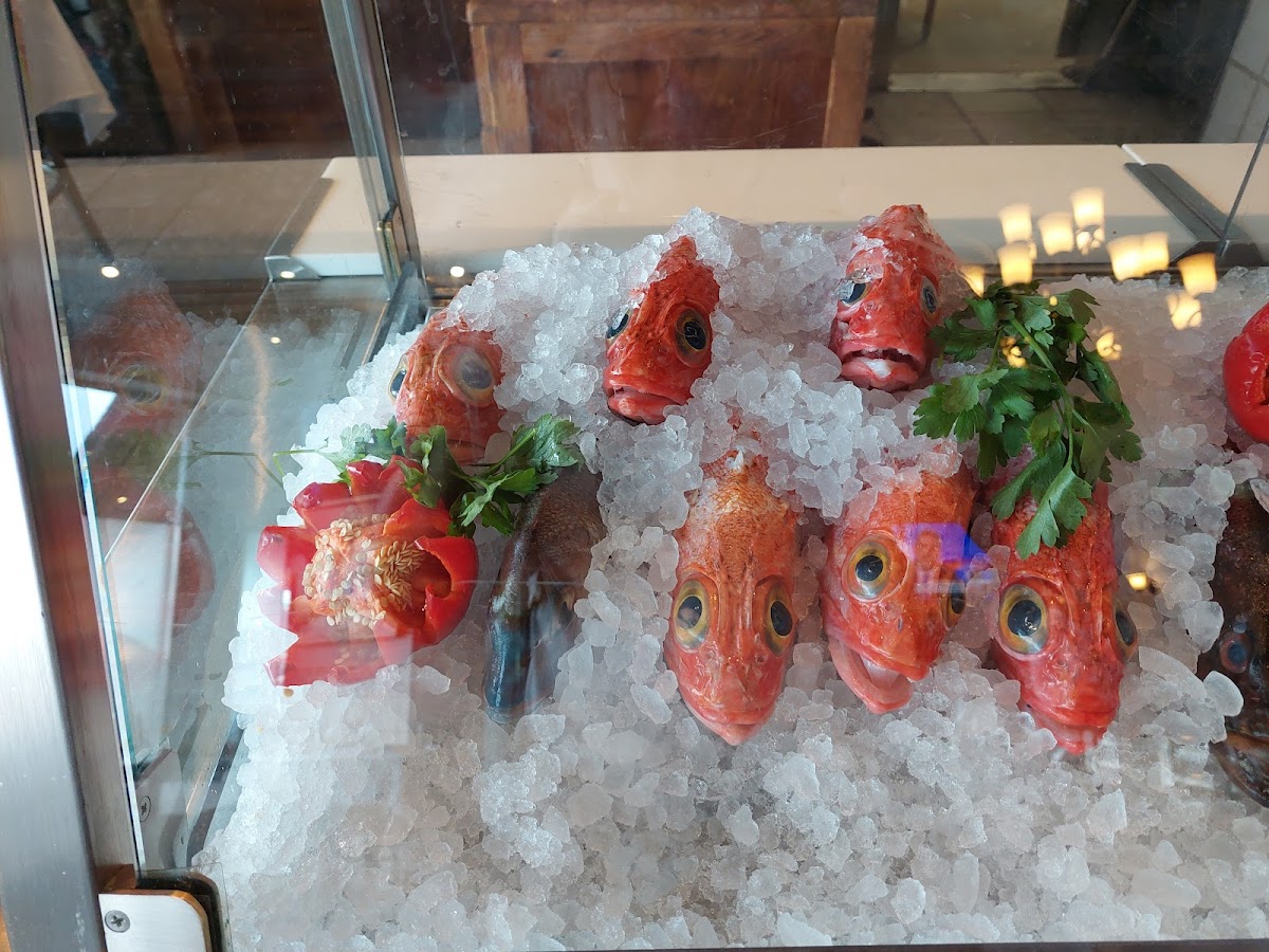 Churrasqueira Martins Grill House - Photo 6