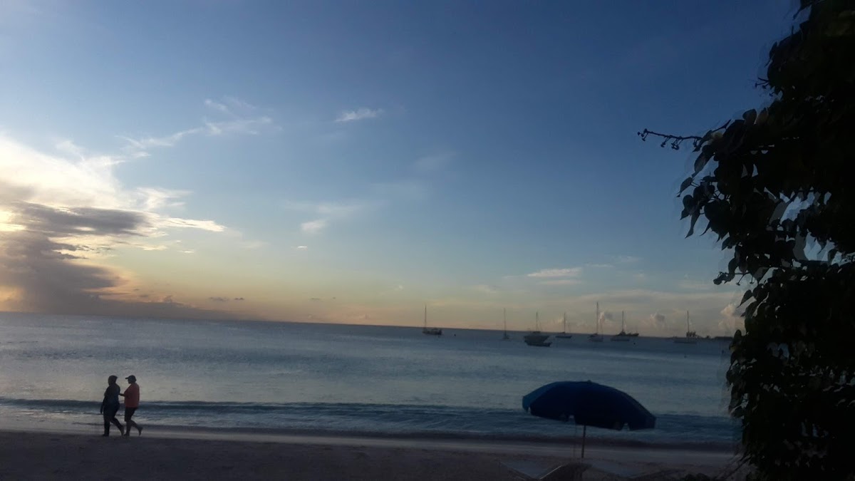 Coffy’s Bayside Bar and Restaurant - Photo 6