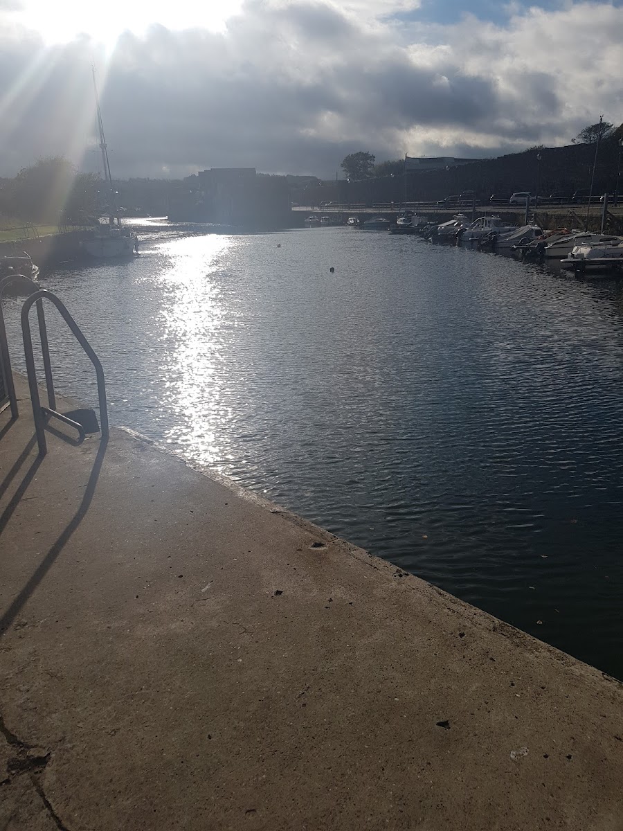 Harbour Cafe - Photo 9