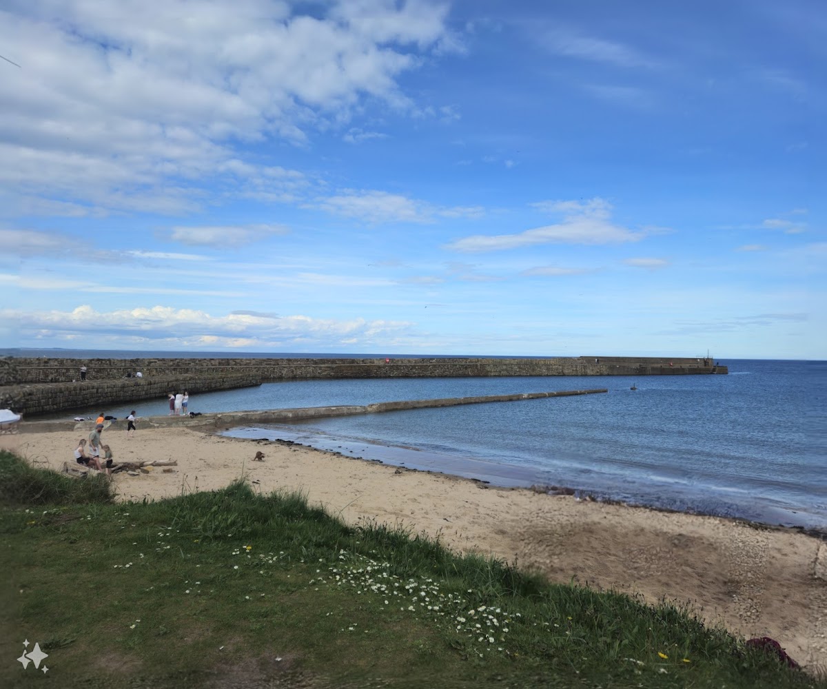 Harbour Cafe - Photo 4
