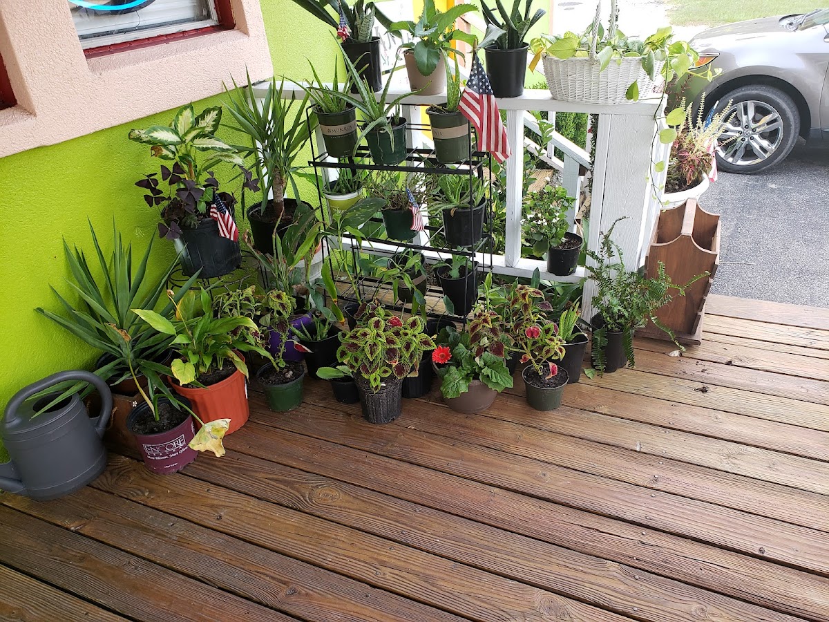 Jung's Egg Roll Express - Photo 9