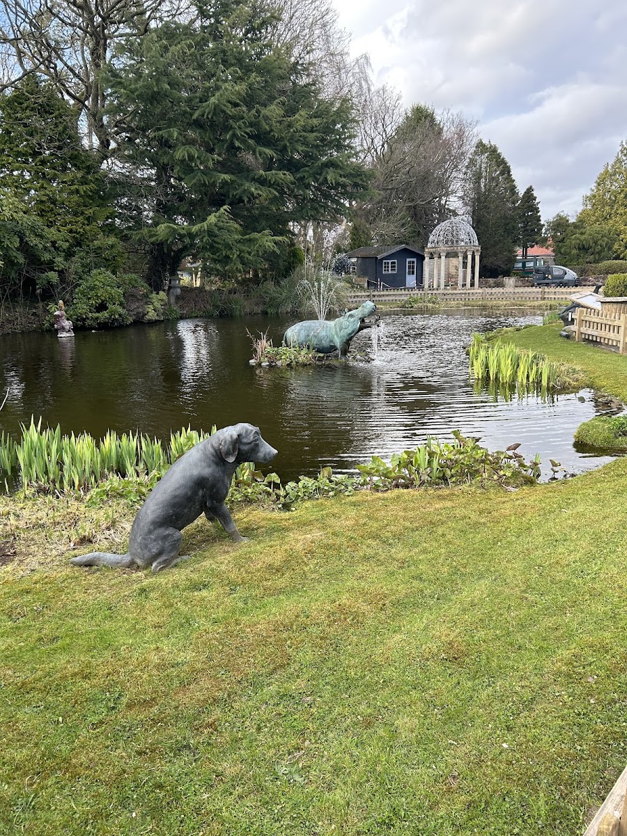 Lilypad Cafe & Water Gardens - Photo 4