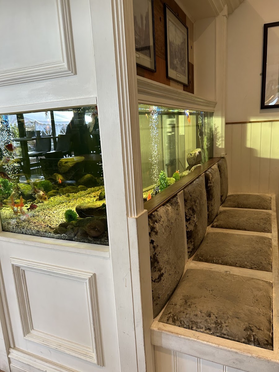 Lilypad Cafe & Water Gardens - Photo 8