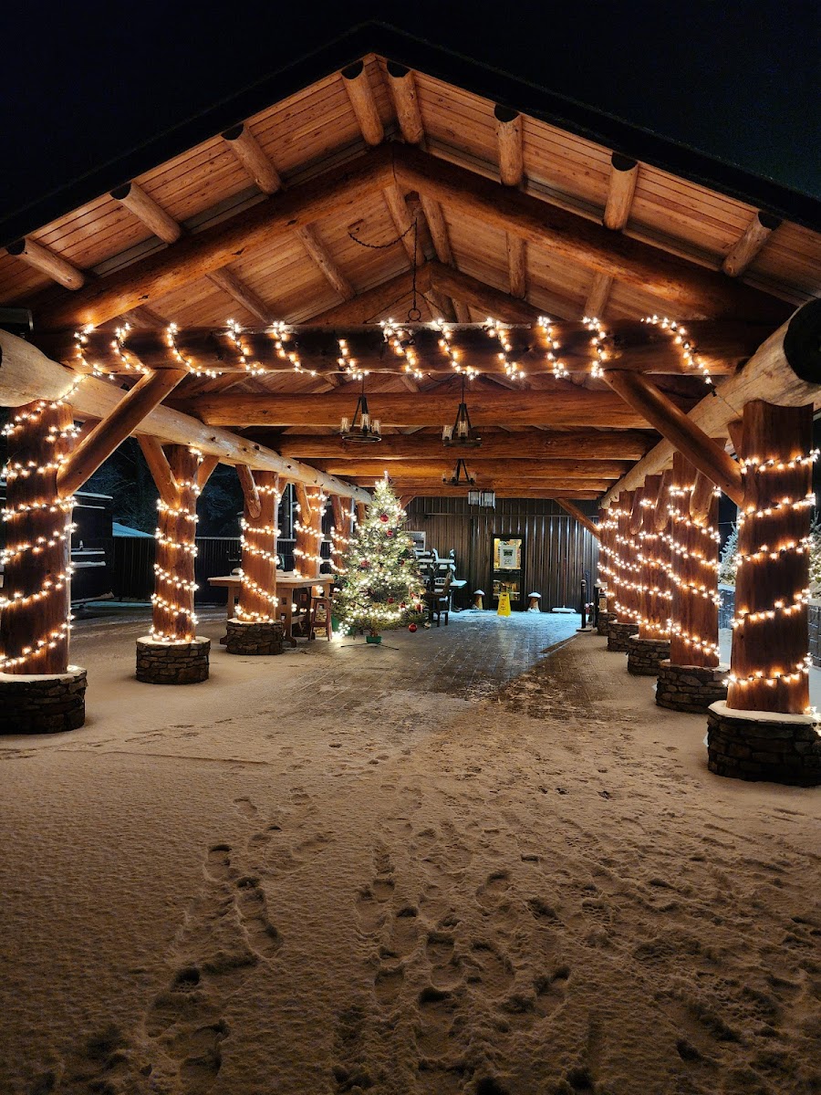 Cabin In the Pines - Photo 4