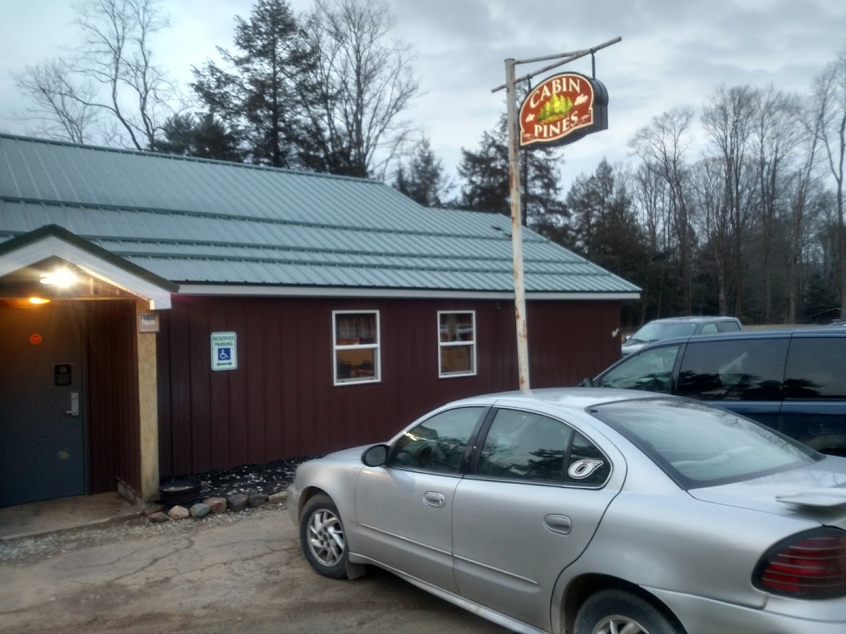 Cabin In the Pines - Photo 5