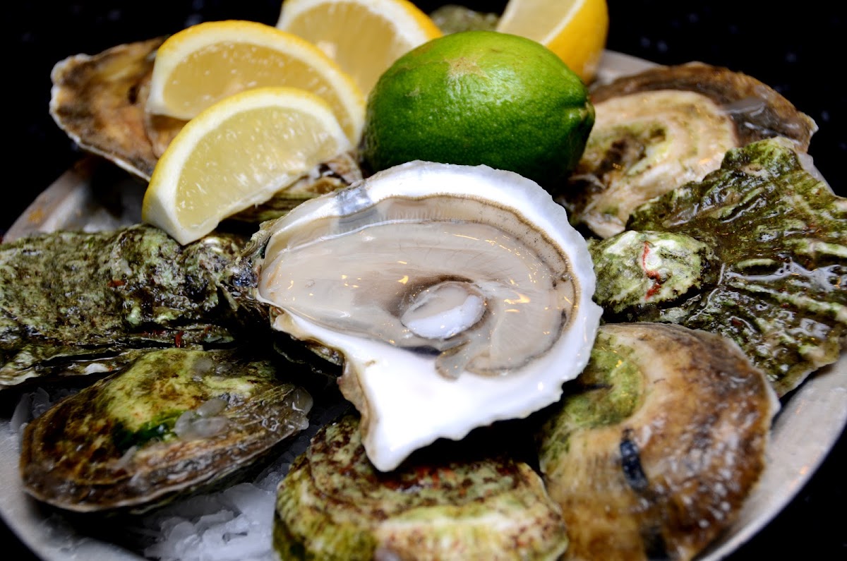Ocean Miracle Seafood Online