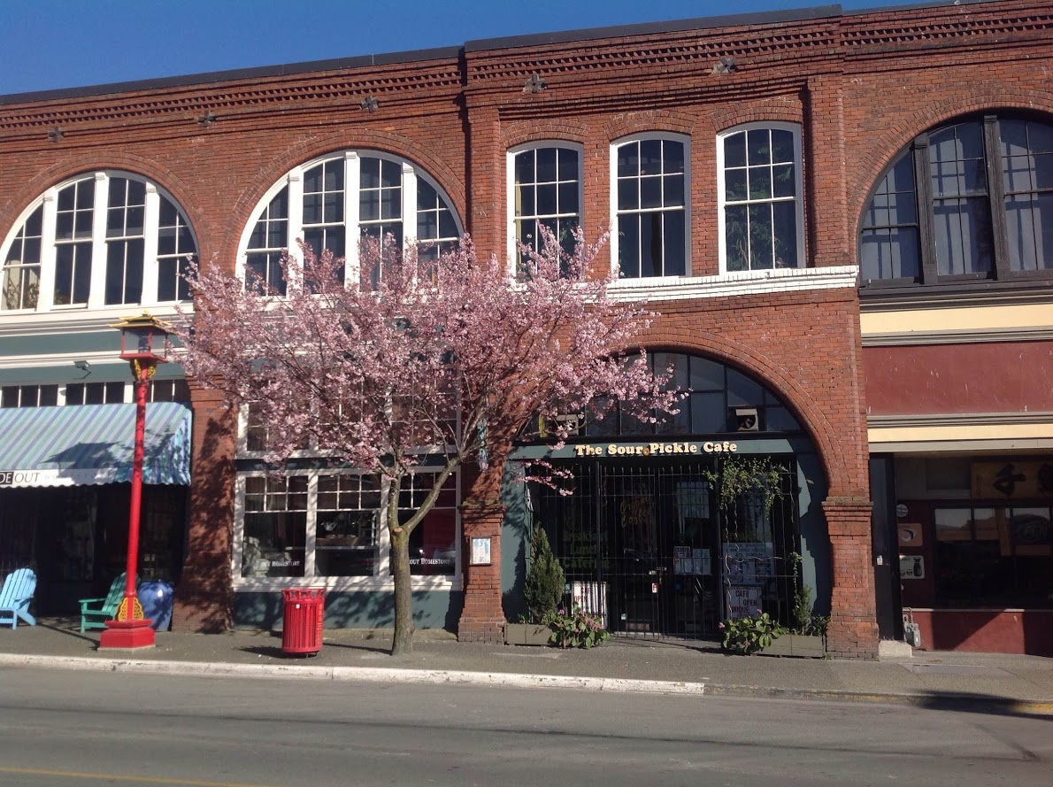 Sour Pickle Cafe - Photo 2