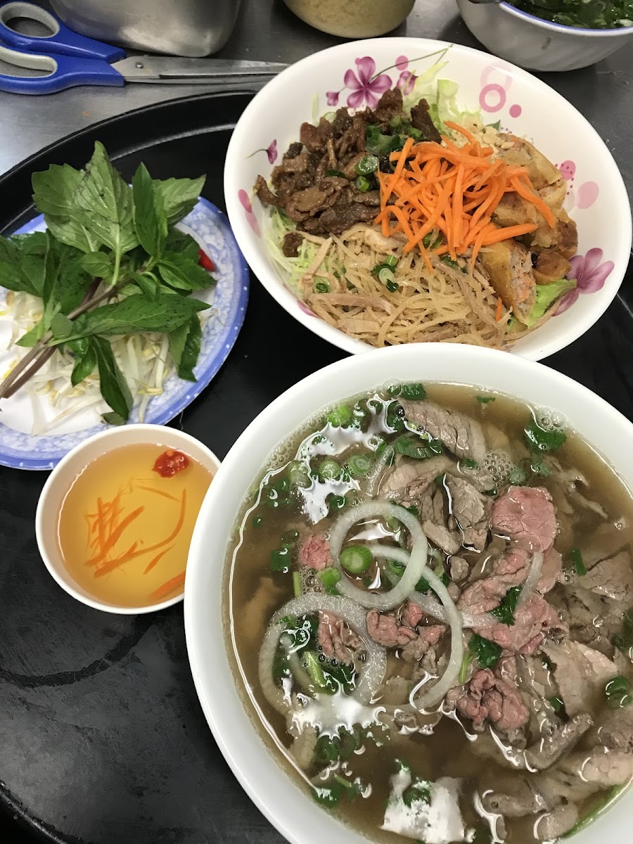 Pho Thanh Vietnamese Noodle House - Photo 1