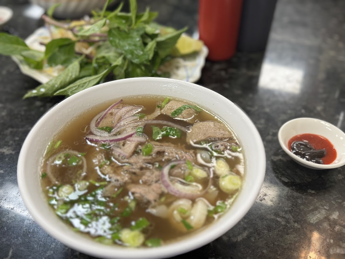 Pho Thanh Vietnamese Noodle House - Photo 2