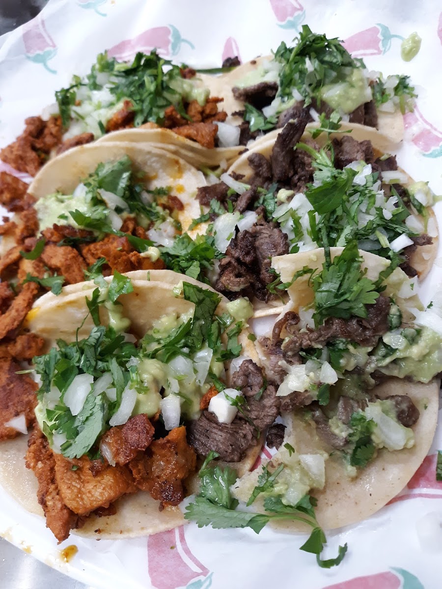 Rigoberto's Taco Shop - Photo 8