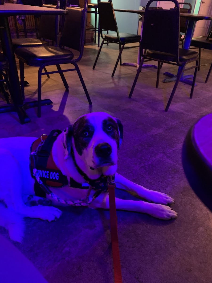 Windrose Bar & Grill - Photo 3