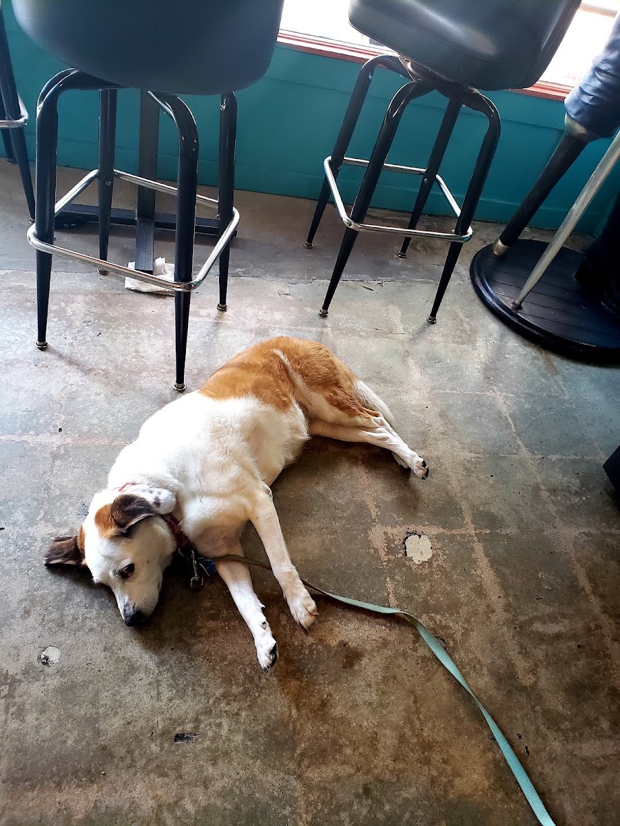 Windrose Bar & Grill - Photo 4