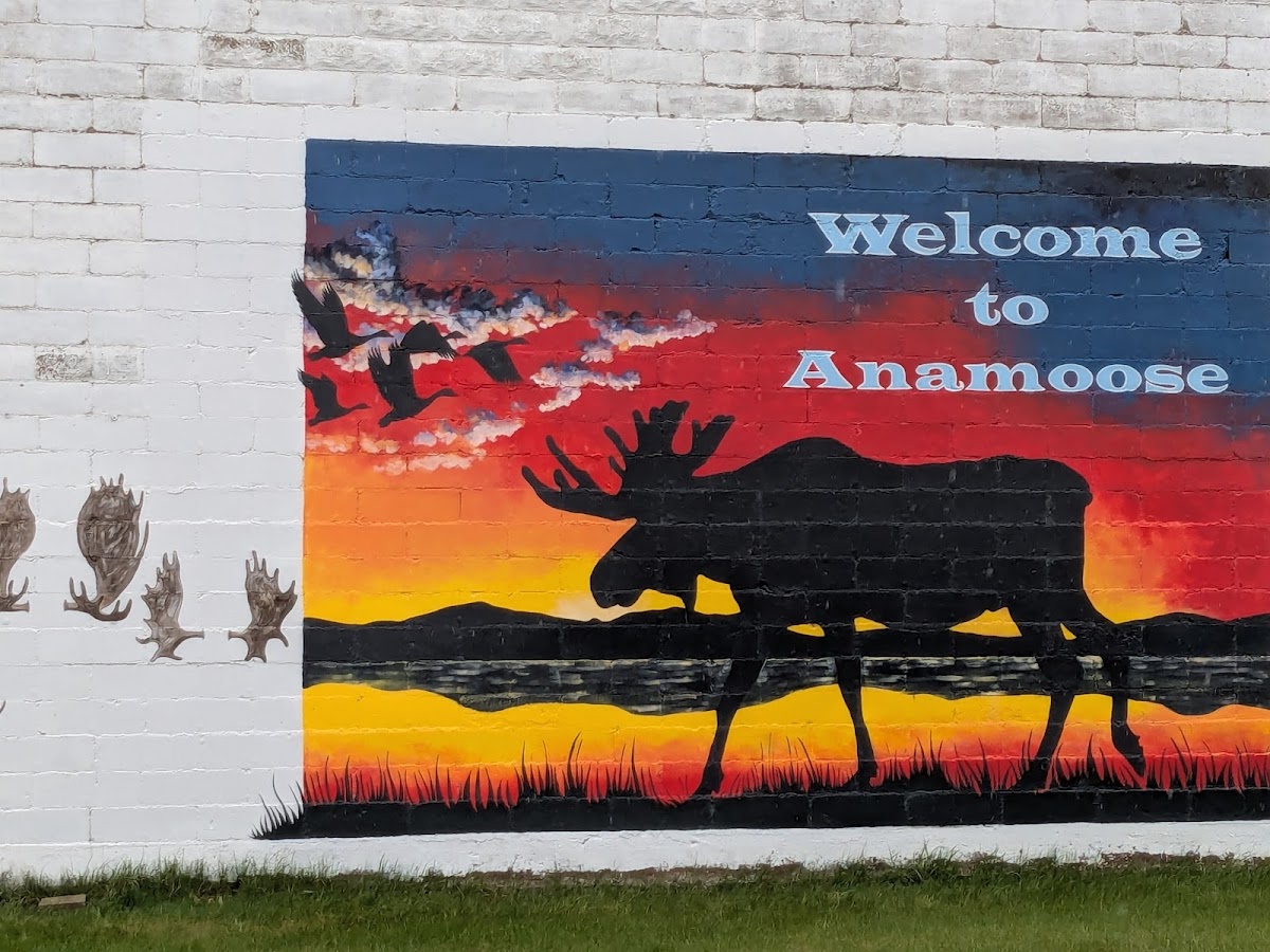 Anamoose Bakery/Cafe - Photo 3
