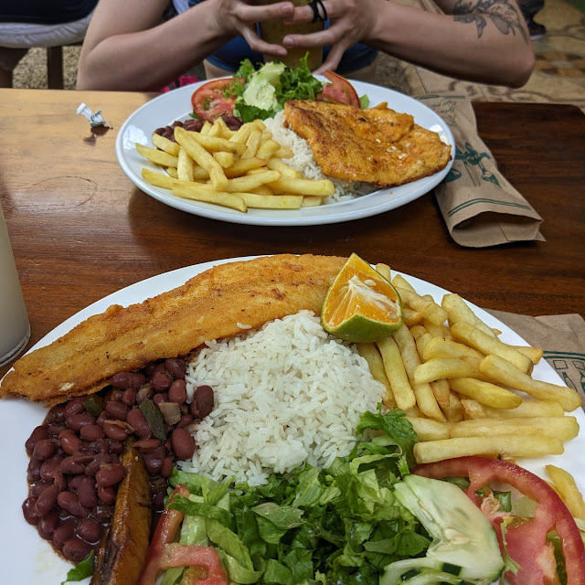 Pinto Con Filet de Pollo