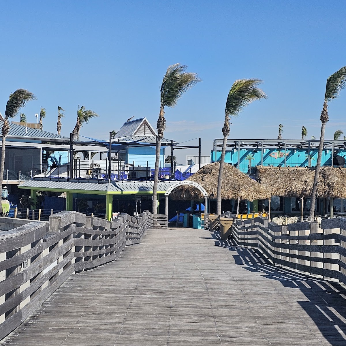Fins At Sharky's - Photo 2