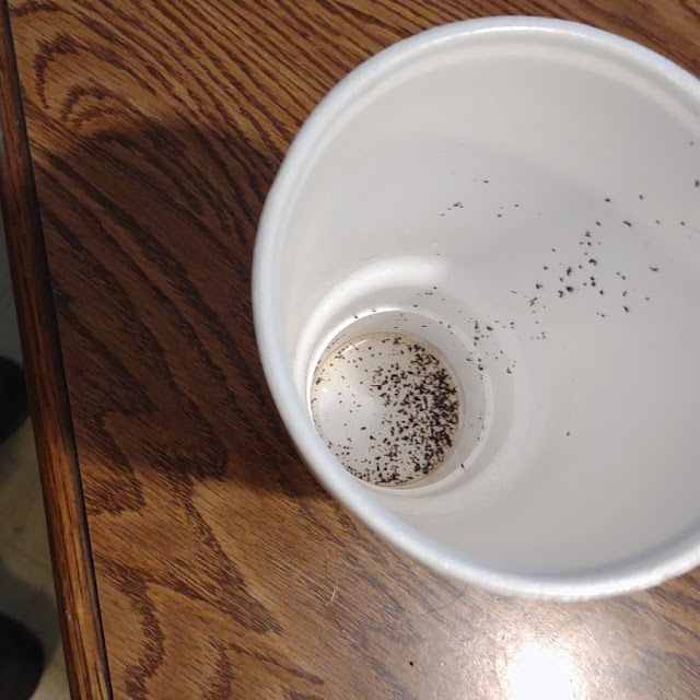 Unsweetened Tea