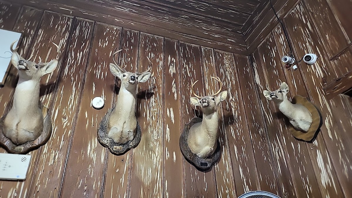 Cypress Inn Restaurant - Photo 2