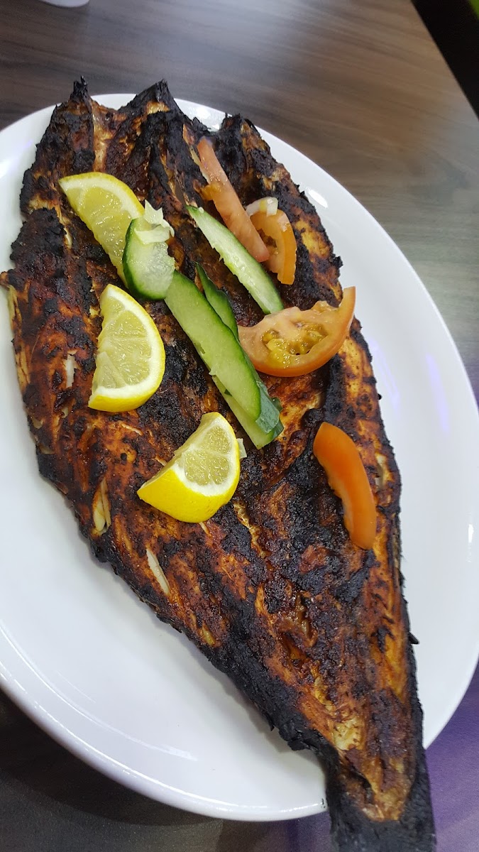 Fresh Almalaky - Photo 4
