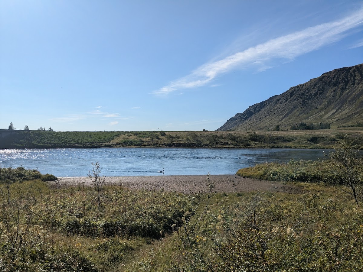 Þrastalundur - Photo 7