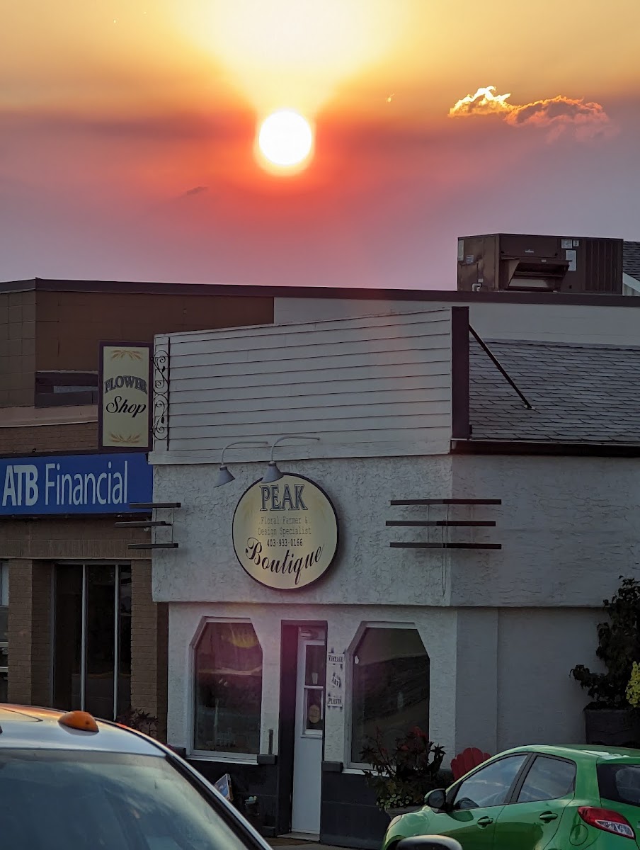 Soft Rock Bistro - Photo 2