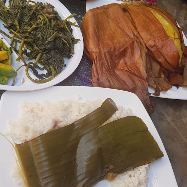Tilapia Fish