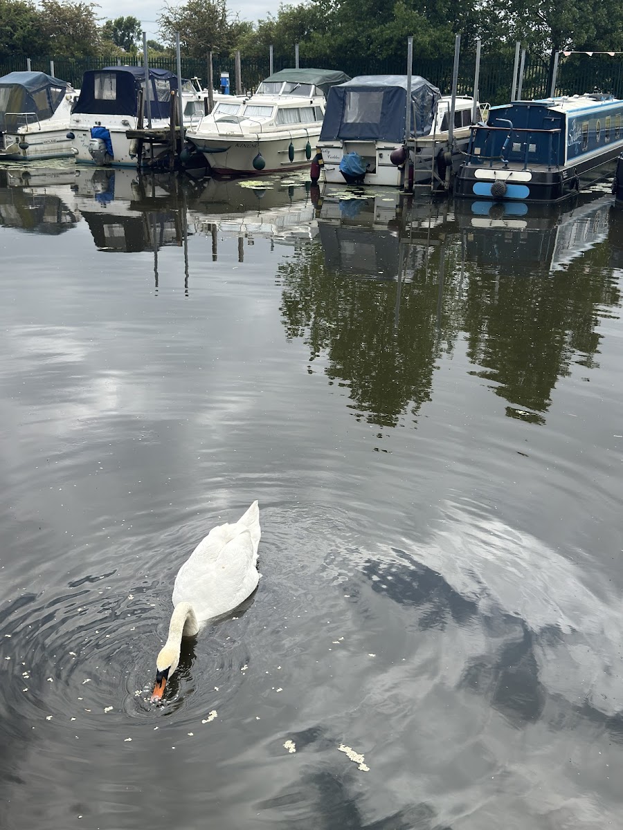 Cafe Blue at Sawley Waterside & Marina - Photo 5