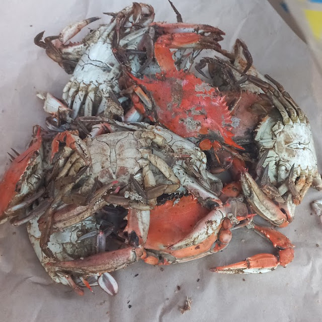 Crab