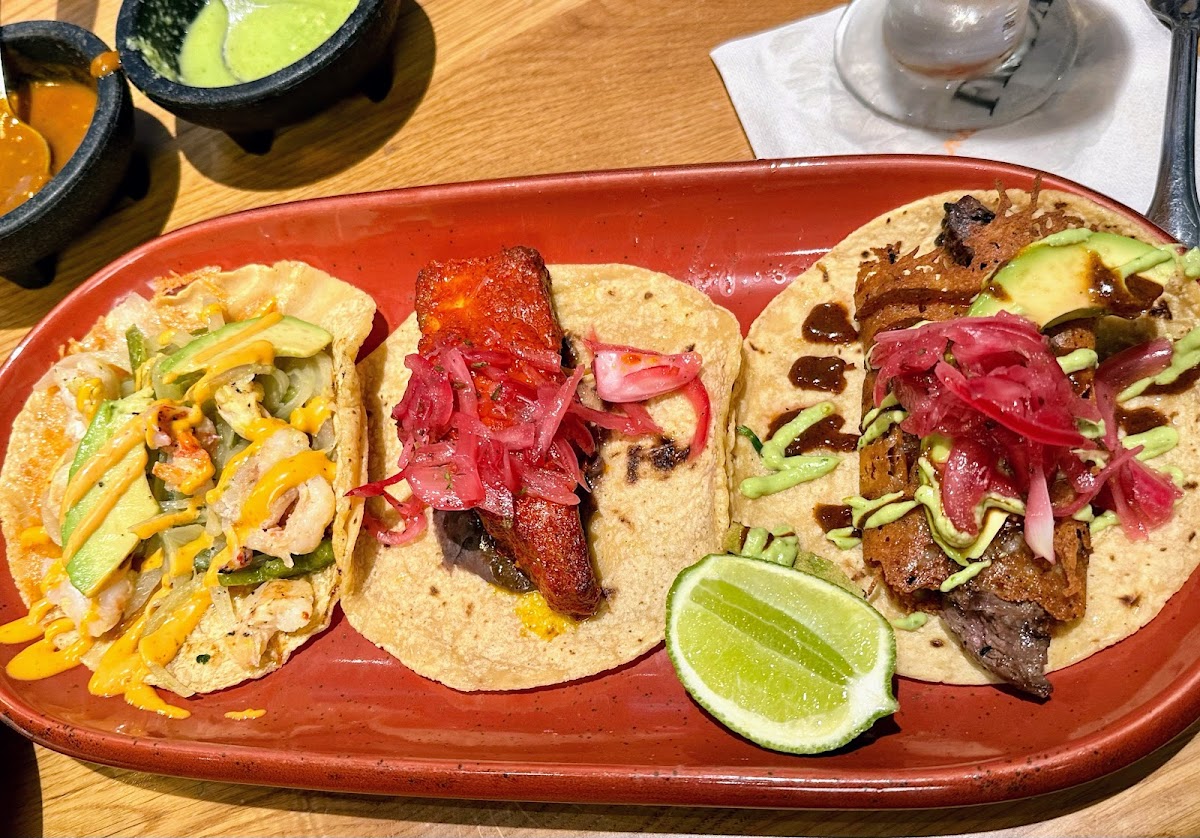 Cantina Frida - Photo 1