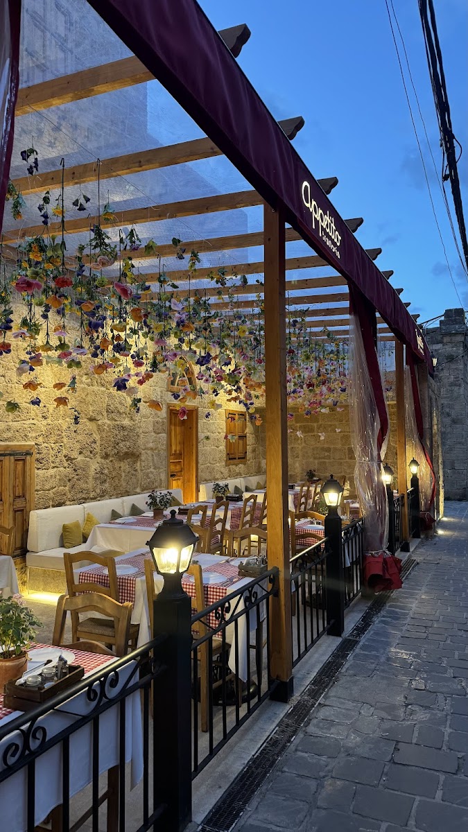 Appetito Trattoria Batroun - Photo 4